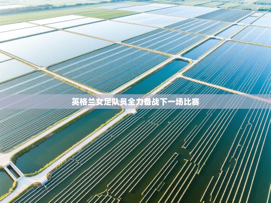 云开体育官方app下载-英格兰女足队员全力备战下一场比赛  第3张