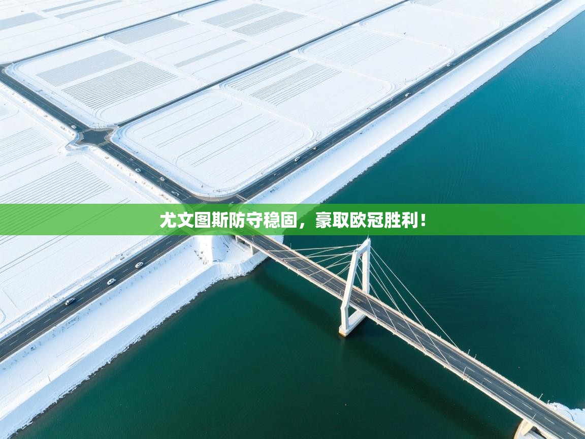 云开体育app官网入口网页版-尤文图斯防守稳固，豪取欧冠胜利！  第2张