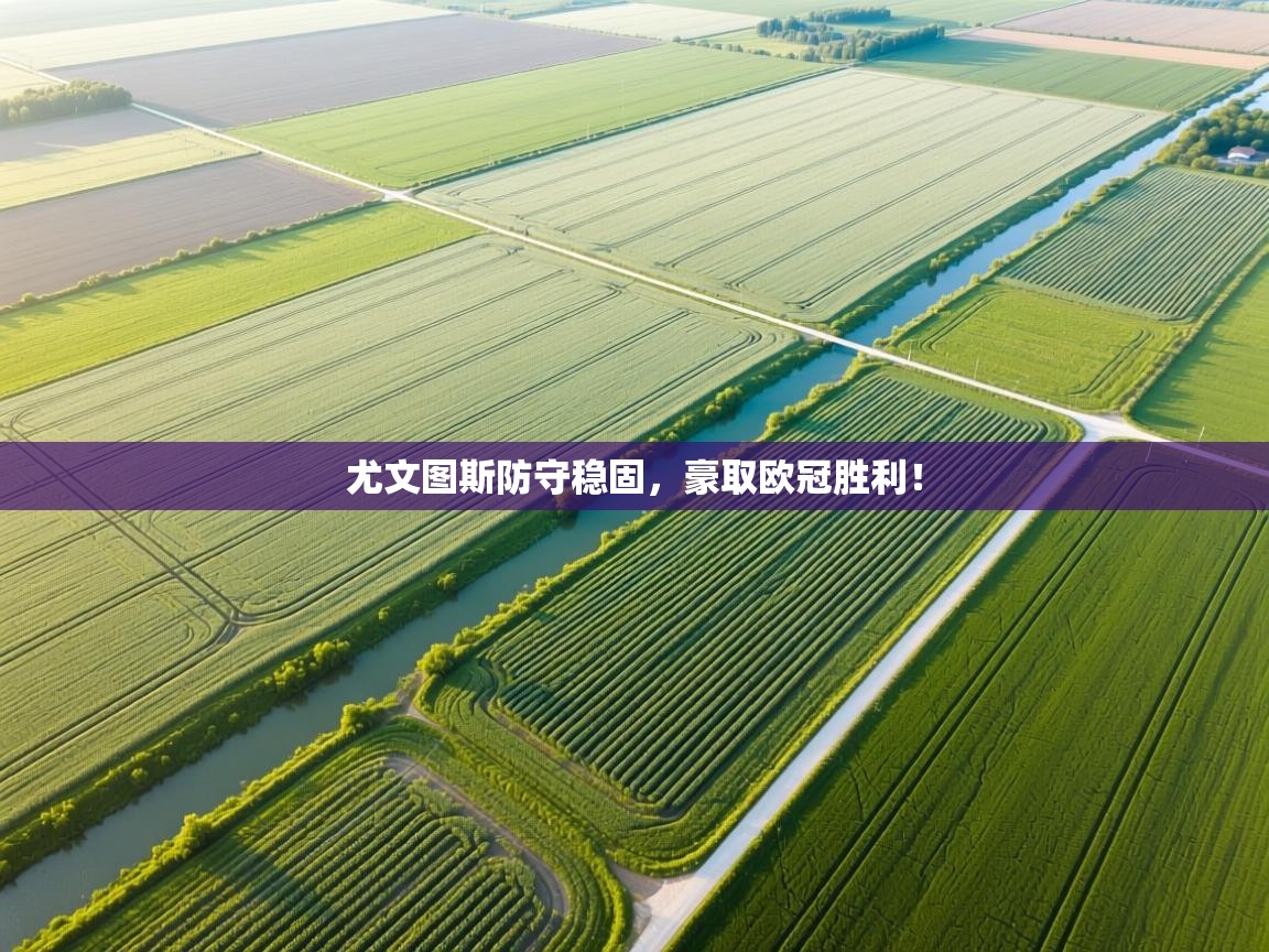 云开体育app官网入口网页版-尤文图斯防守稳固，豪取欧冠胜利！  第4张