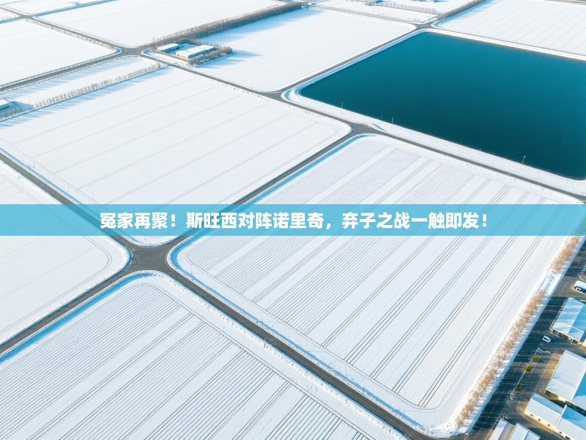 开云体育推送通知设置-冤家再聚！斯旺西对阵诺里奇，弃子之战一触即发！  第1张