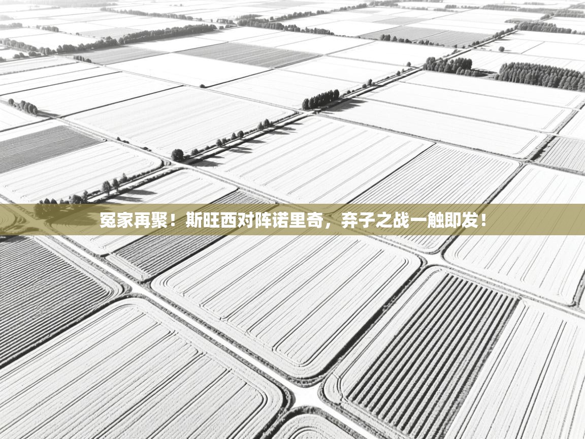 开云体育推送通知设置-冤家再聚！斯旺西对阵诺里奇，弃子之战一触即发！  第3张