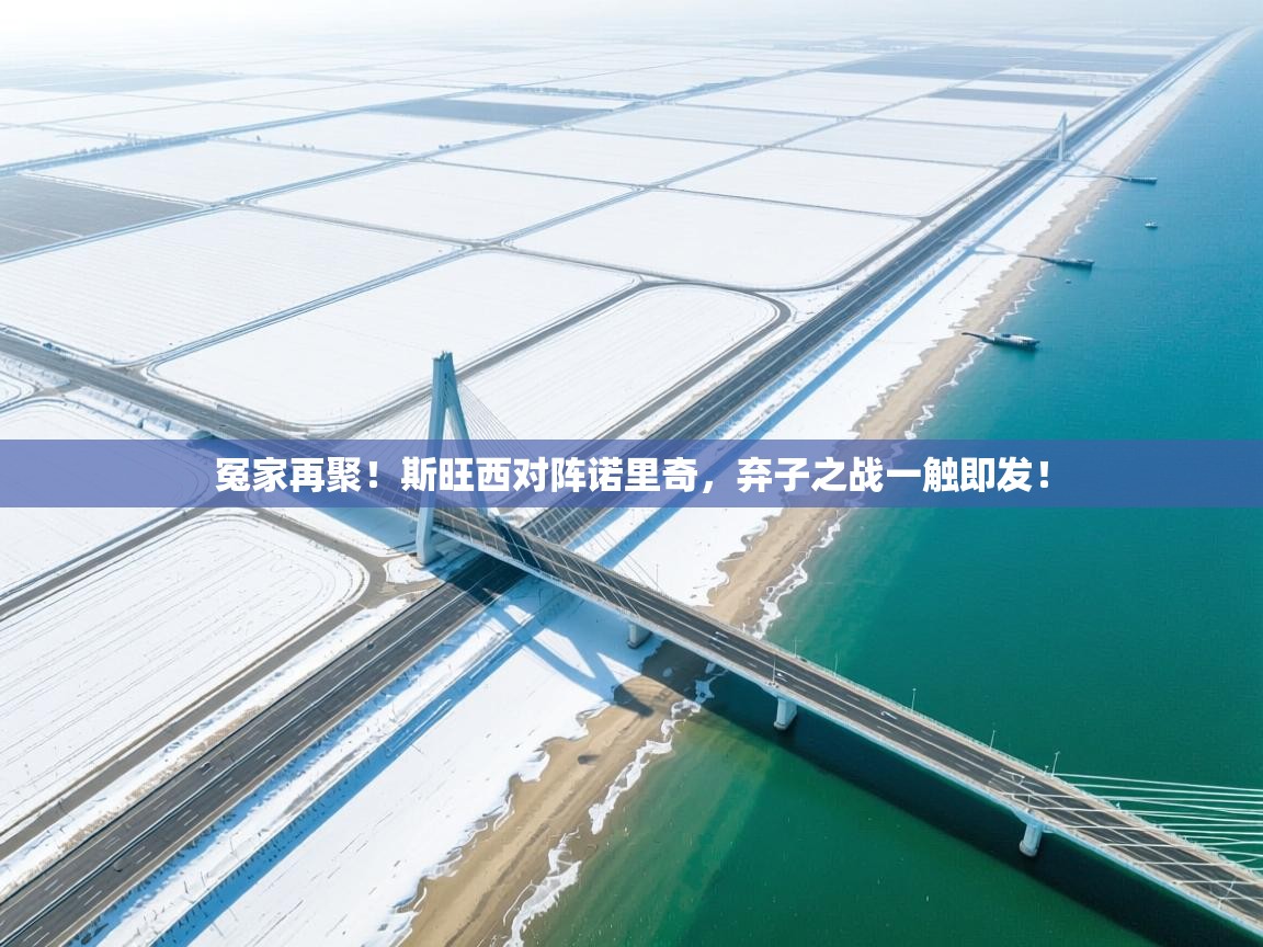 开云体育推送通知设置-冤家再聚！斯旺西对阵诺里奇，弃子之战一触即发！  第4张