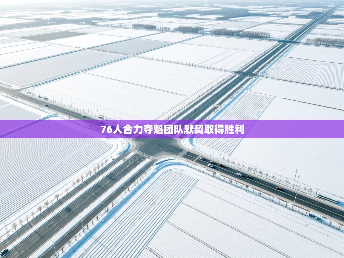 开云体育入口邀请码-76人合力夺魁团队默契取得胜利  第4张